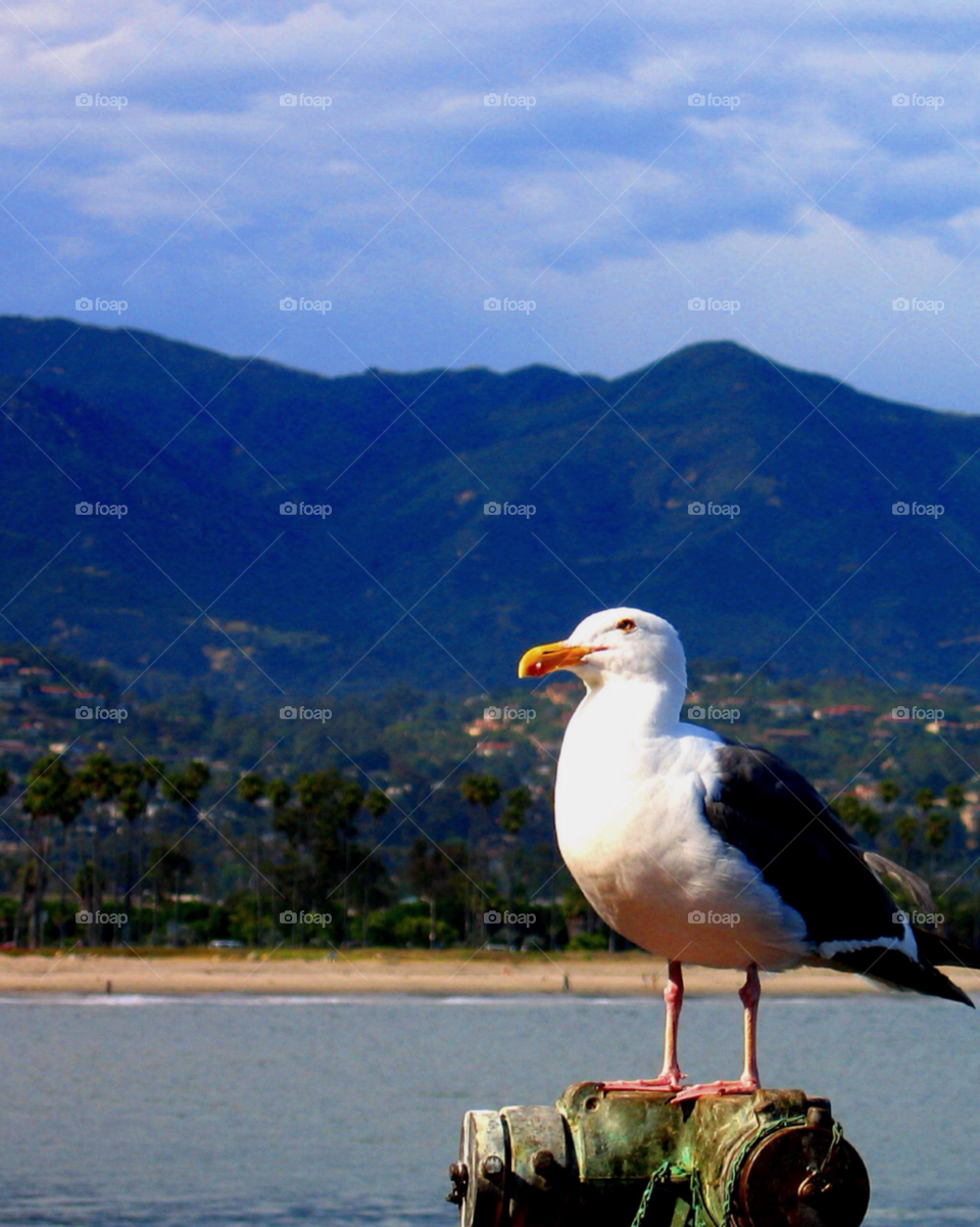 beach ocean sky green by stevehardley7