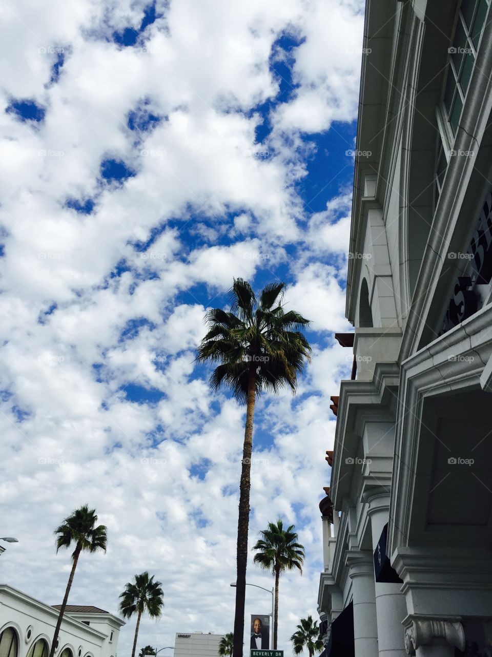 Cloudy sky with palm trees in Beverly Hills.