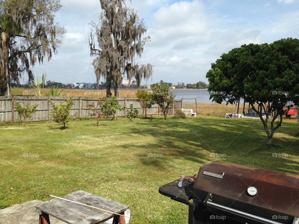 Barbecue. Lake Cecile BBQ