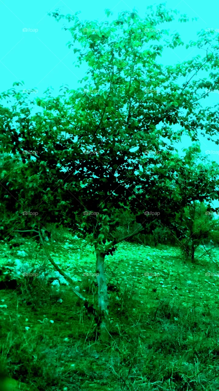 beautiful image