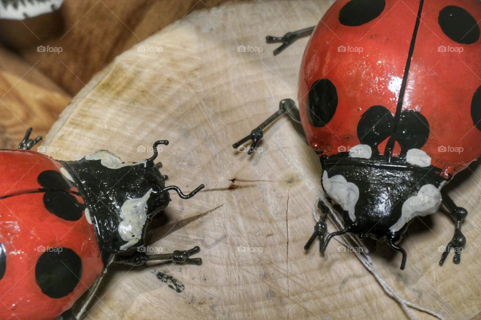 Decorative ladybugs