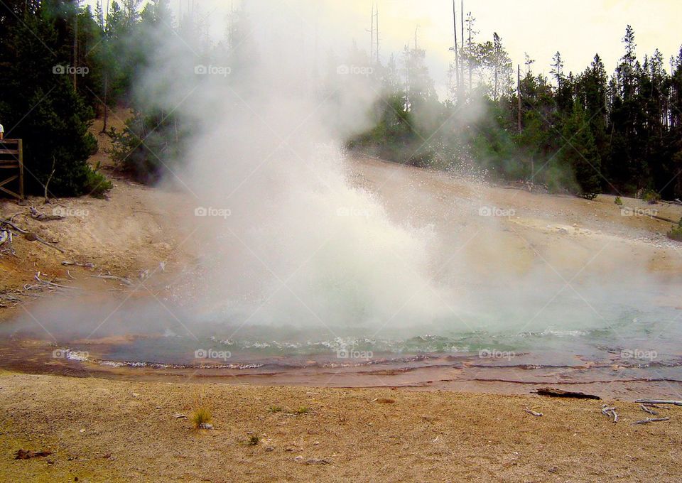 yellowstone group1 by refocusphoto