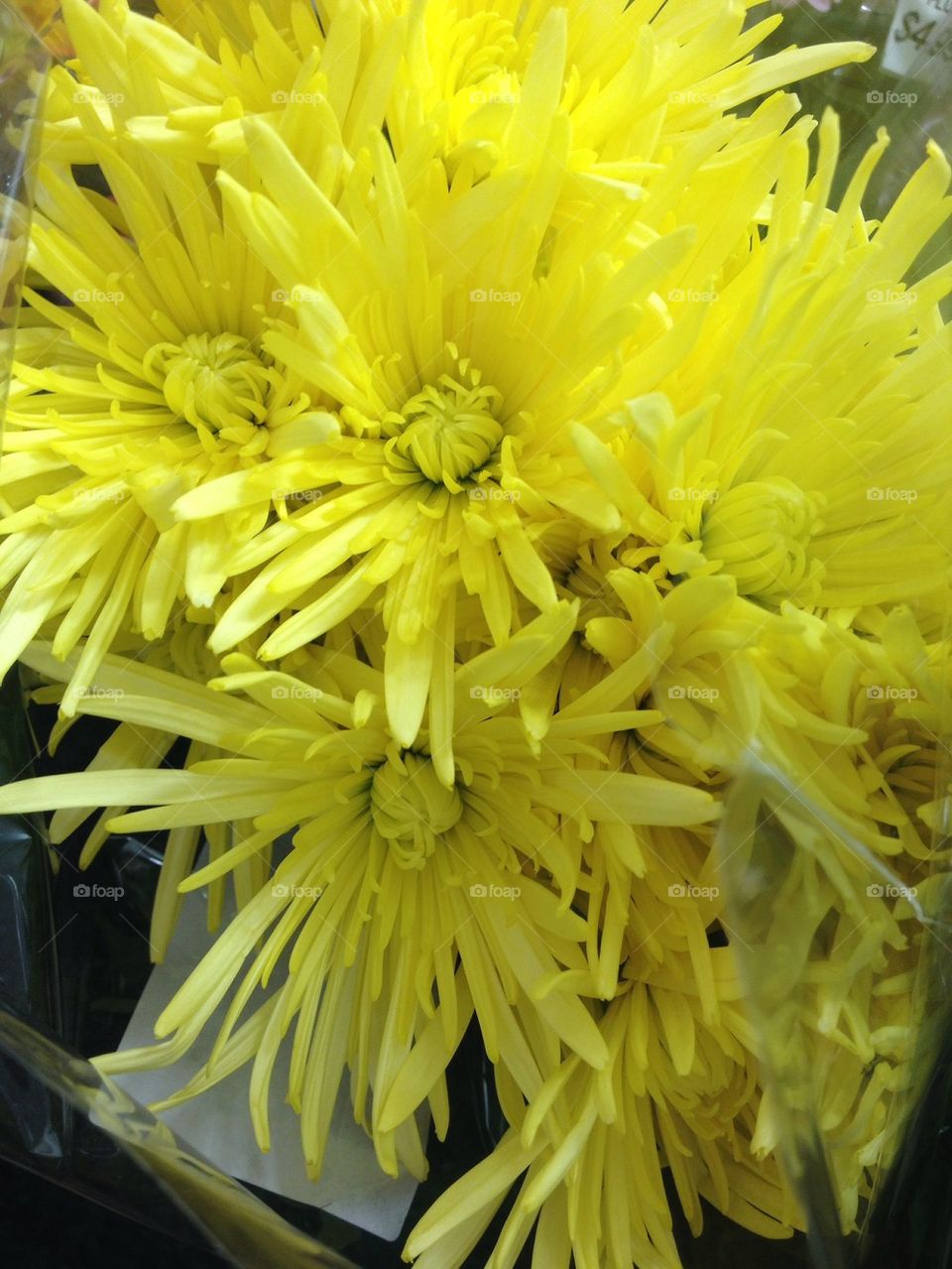 Yellow Bunch of Flowers