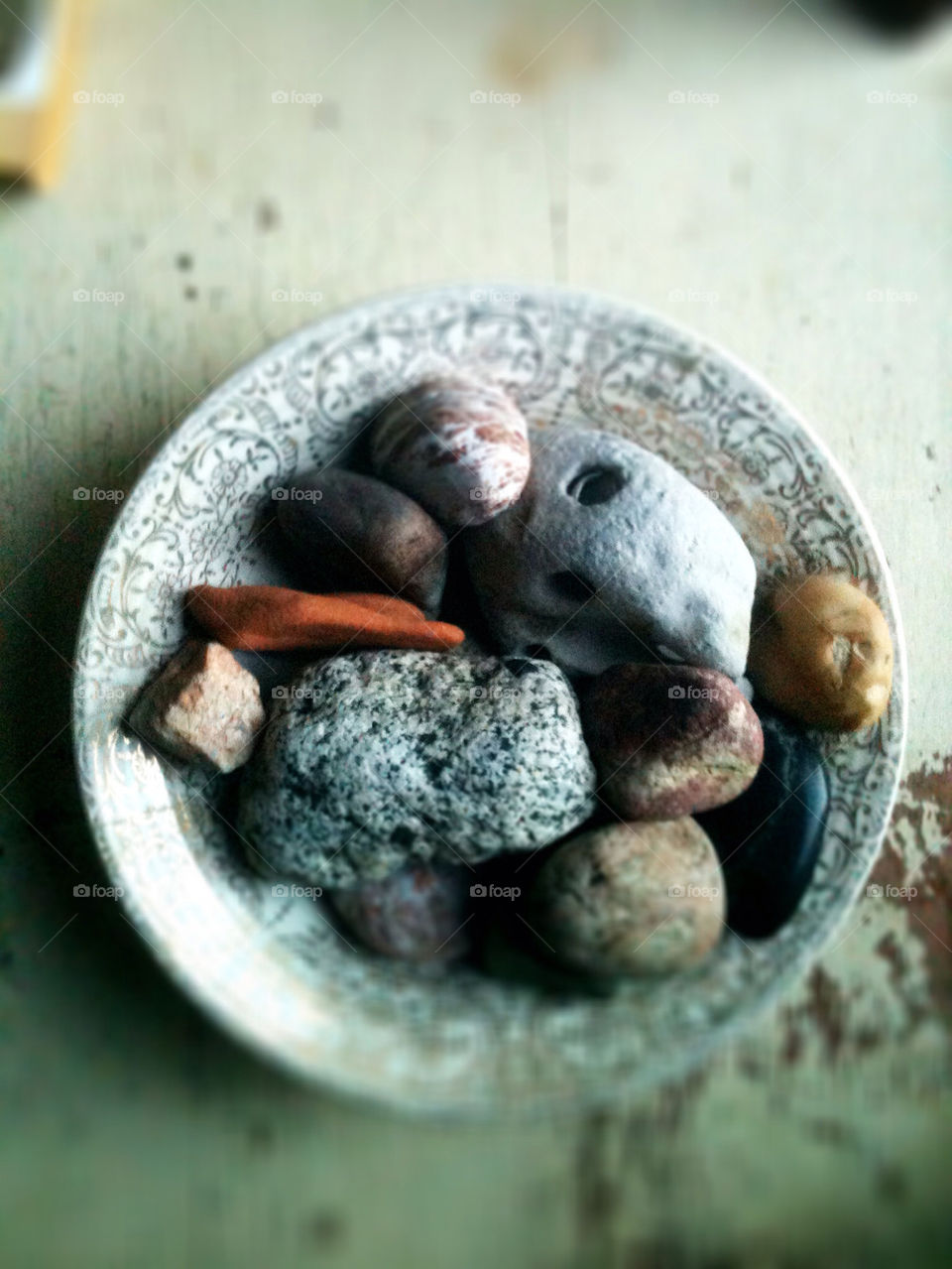 nature table white art by sadie.collins