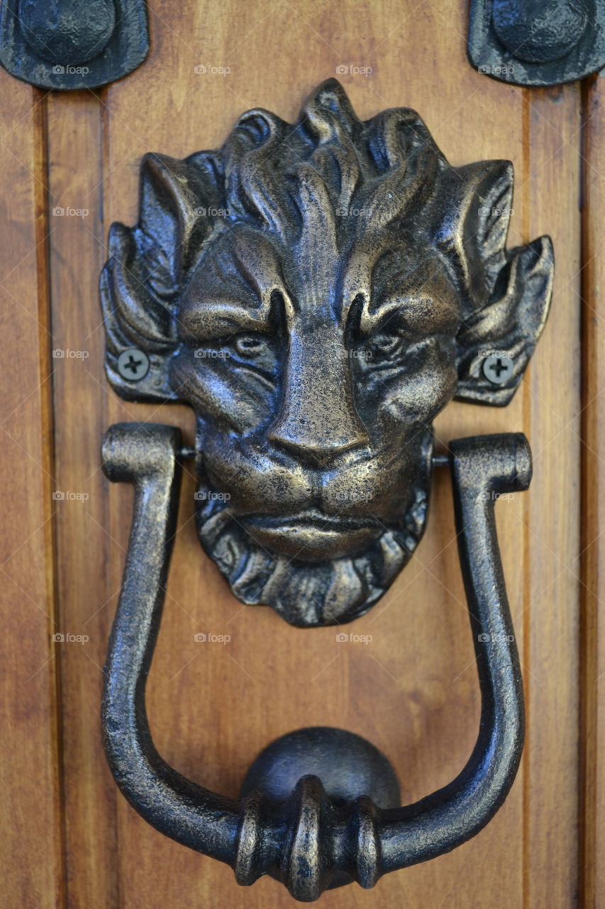 Lion Head Door Knocker
