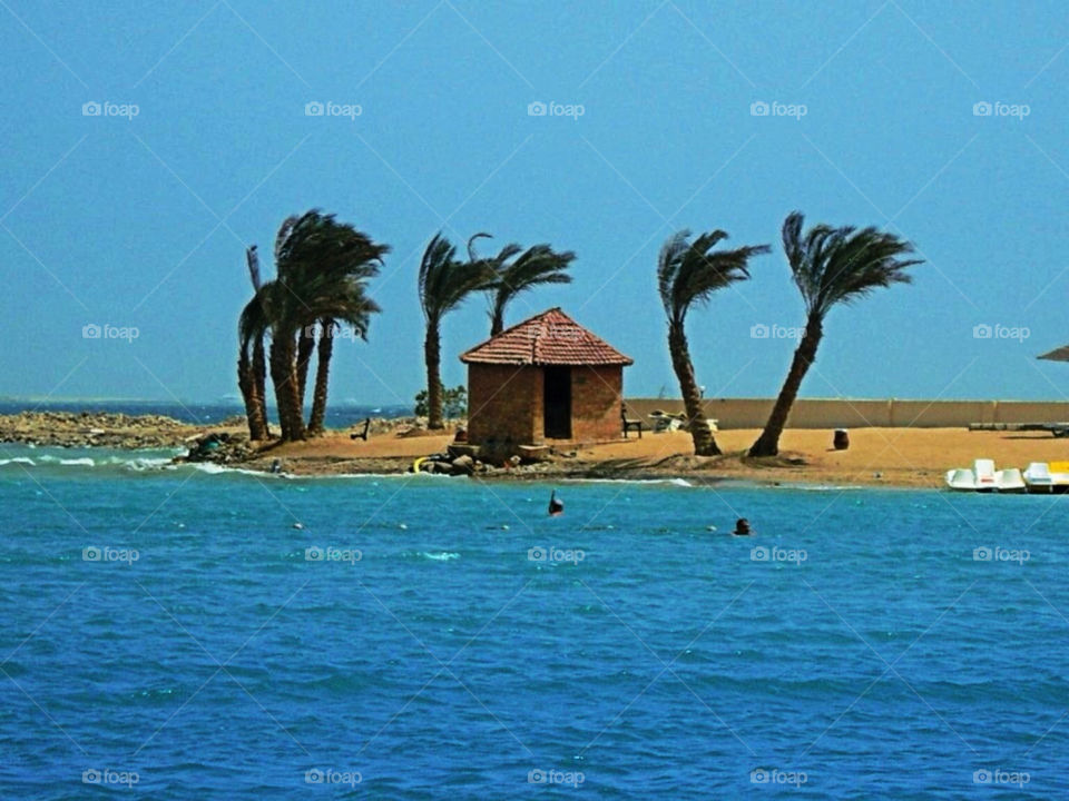sea wind egypt redsee by ikoos