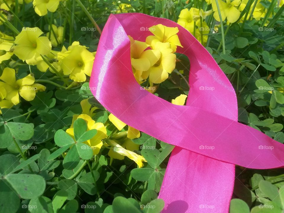 pink ribbon into natural yellow wild flowers and green four leaves