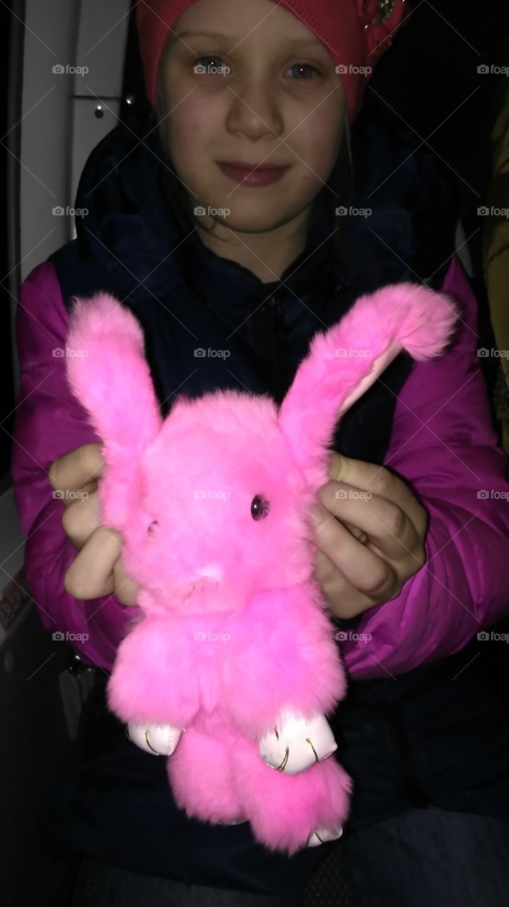 Little pink rabbit