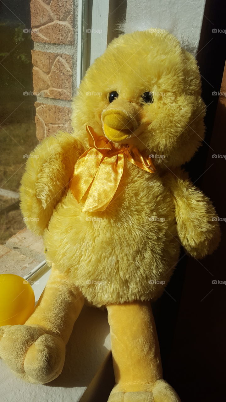 Fluffy yellow toy duck with yellow plastic ball.