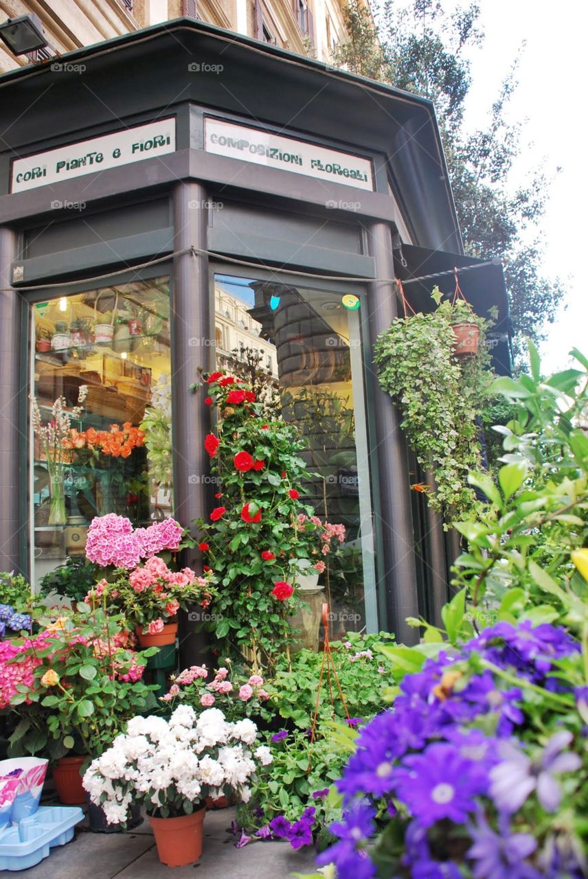 Italian florist. A beautiful outdoor display in front of a florist's store window along the luxurious Via Venetto in Rome