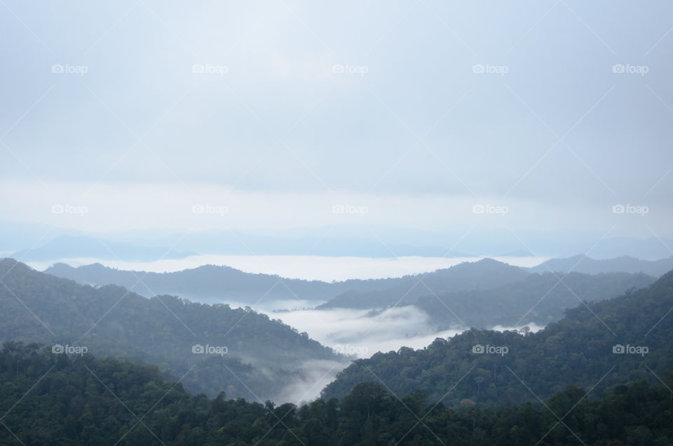 Sea of mist on the mountain.
