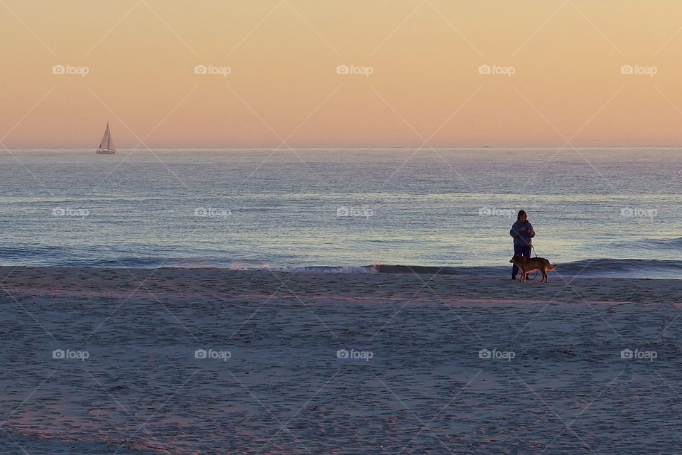 Walking dogs on the beach at Cape May #1