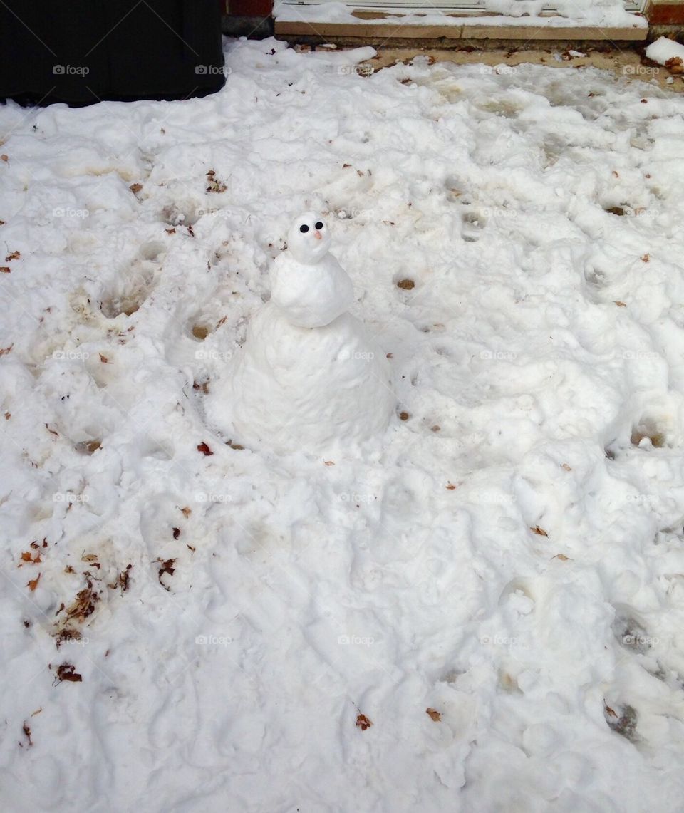Snowman
