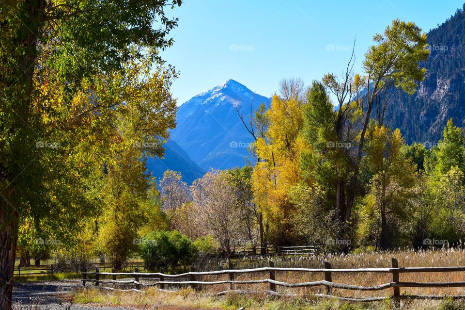 Southwest Colorado features beautiful mountains and gorgeous trees wearing the colors of fall