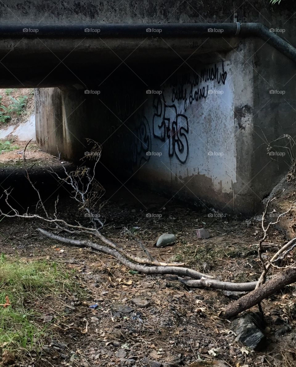 Dead branches under dried bridge with graffiti 