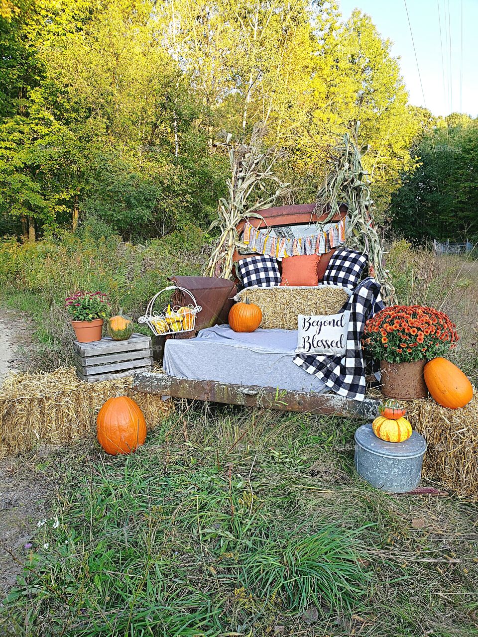 fall photography mini session setup