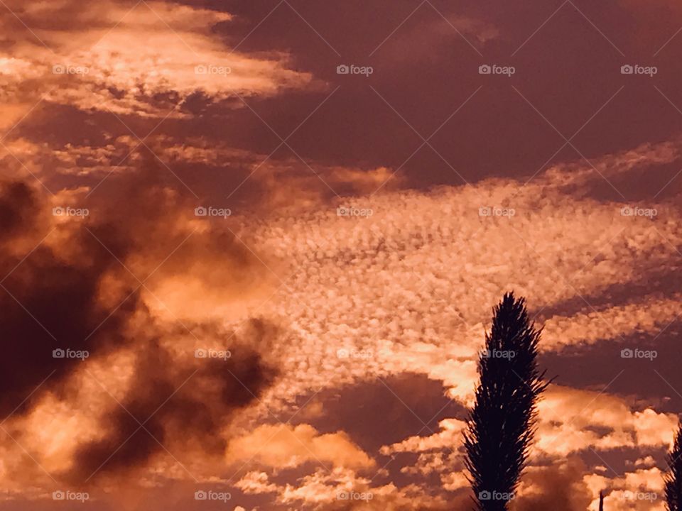 Evening Sunset with great colors. Lots of clouds the magic of the sky. Dark patches of clouds make this Sunset Very Special. 