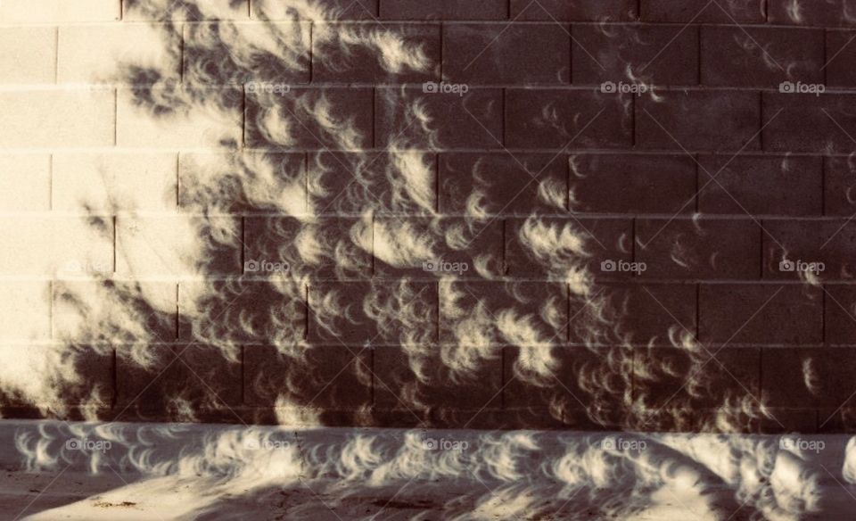 Who would have thought a simple cement wall would be a canvas for something so unique? A near full solar eclipse projected through a tree to gave these hundreds of tiny crescents.