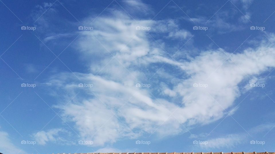 nuvole bianche