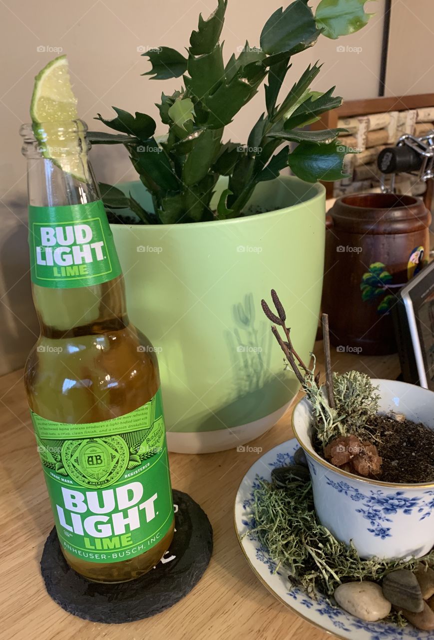 Bud light lime beer