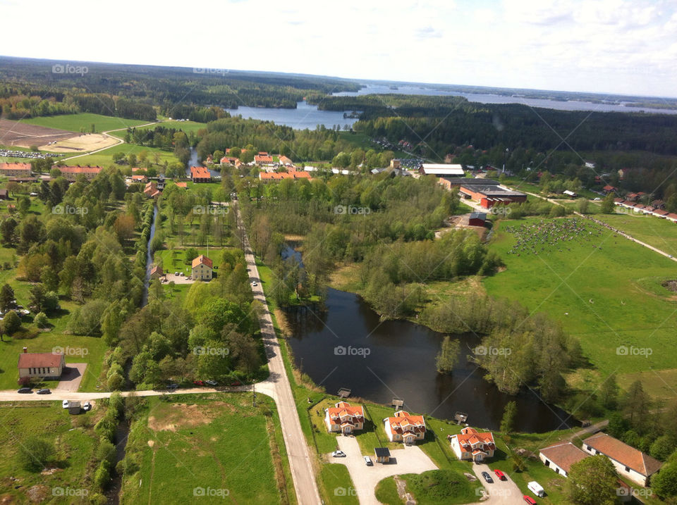 landscape sweden summer trees by marresergio