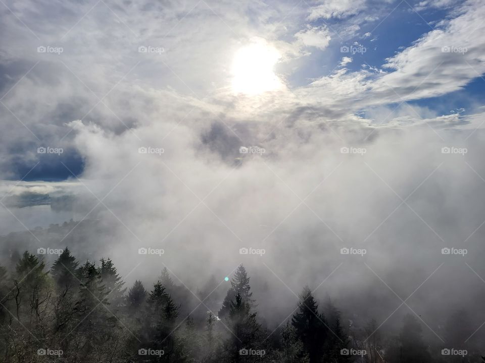 balcony window view of foggy and cloudy day in Nanaimo, Vancouver Island, British Columbia, Canada. Bright sun beams through and tops of trees showing
