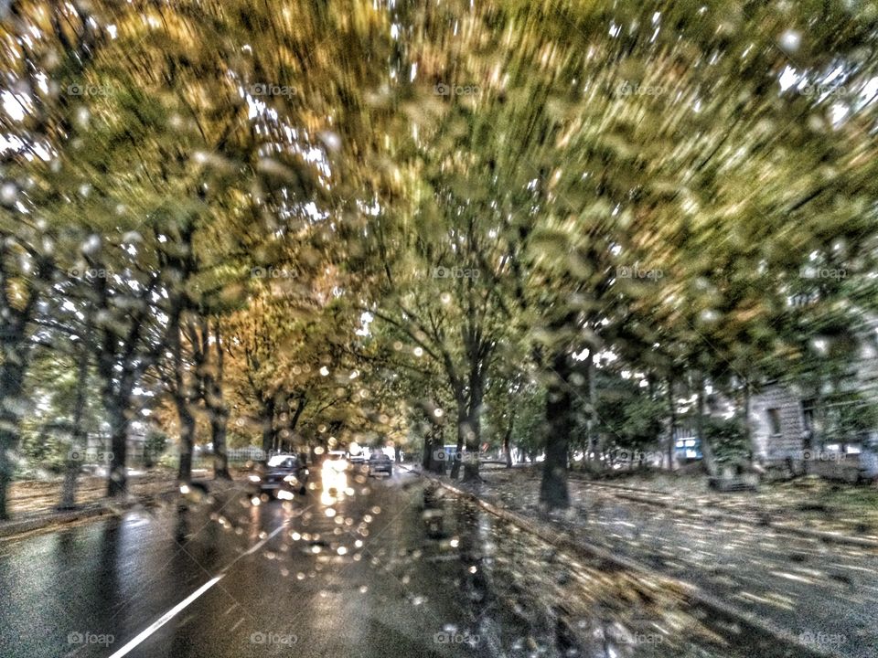 Street in rain. Shot from car window. 