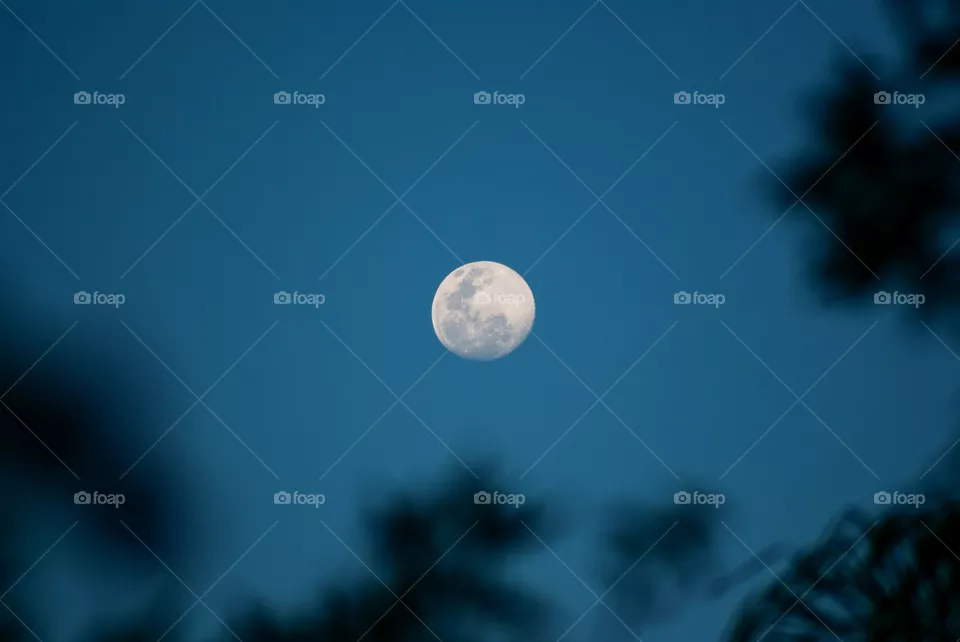 full moon
