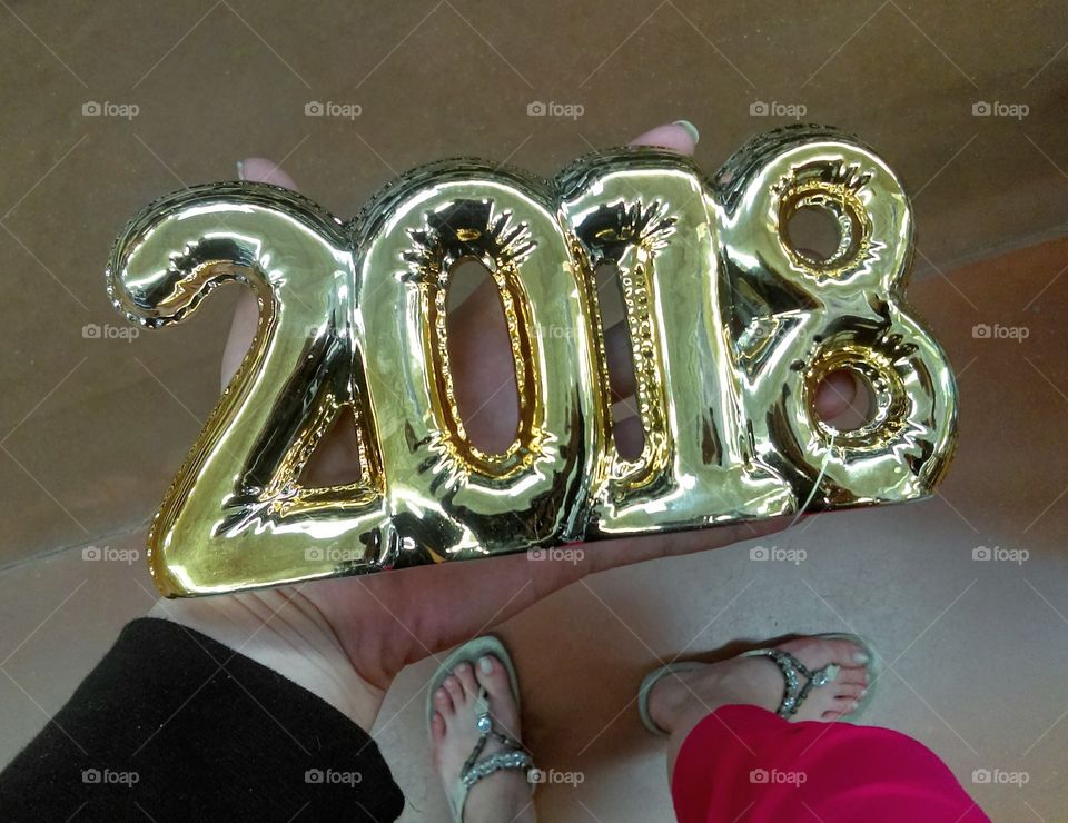 A Shiny Year 2018