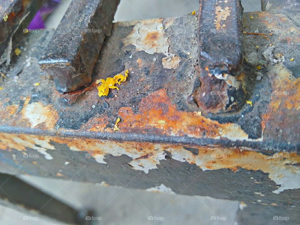 Just wanted to see the details of a rusted metal bench in picture. Macro shot.