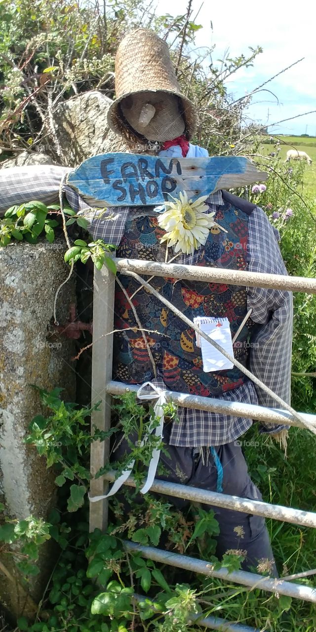 scarecrow in field in summer