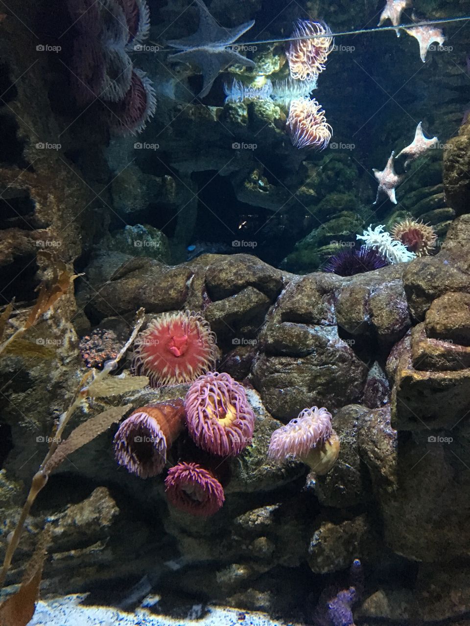 New England Aquarium