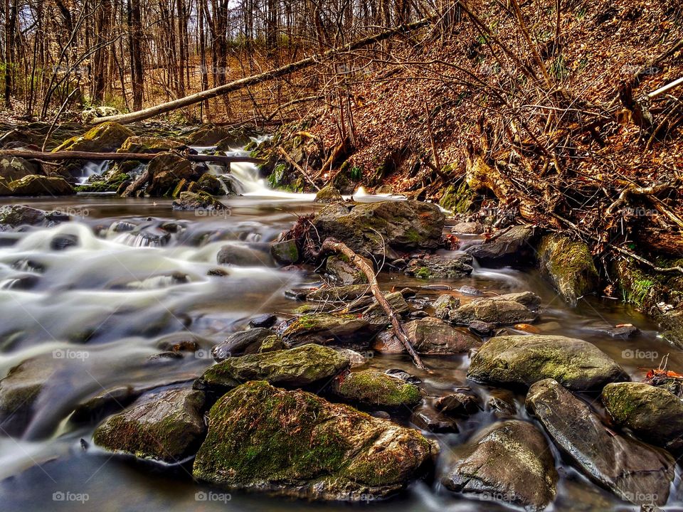 Autumn Forest Stream 