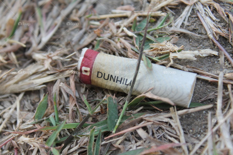 Dunhil