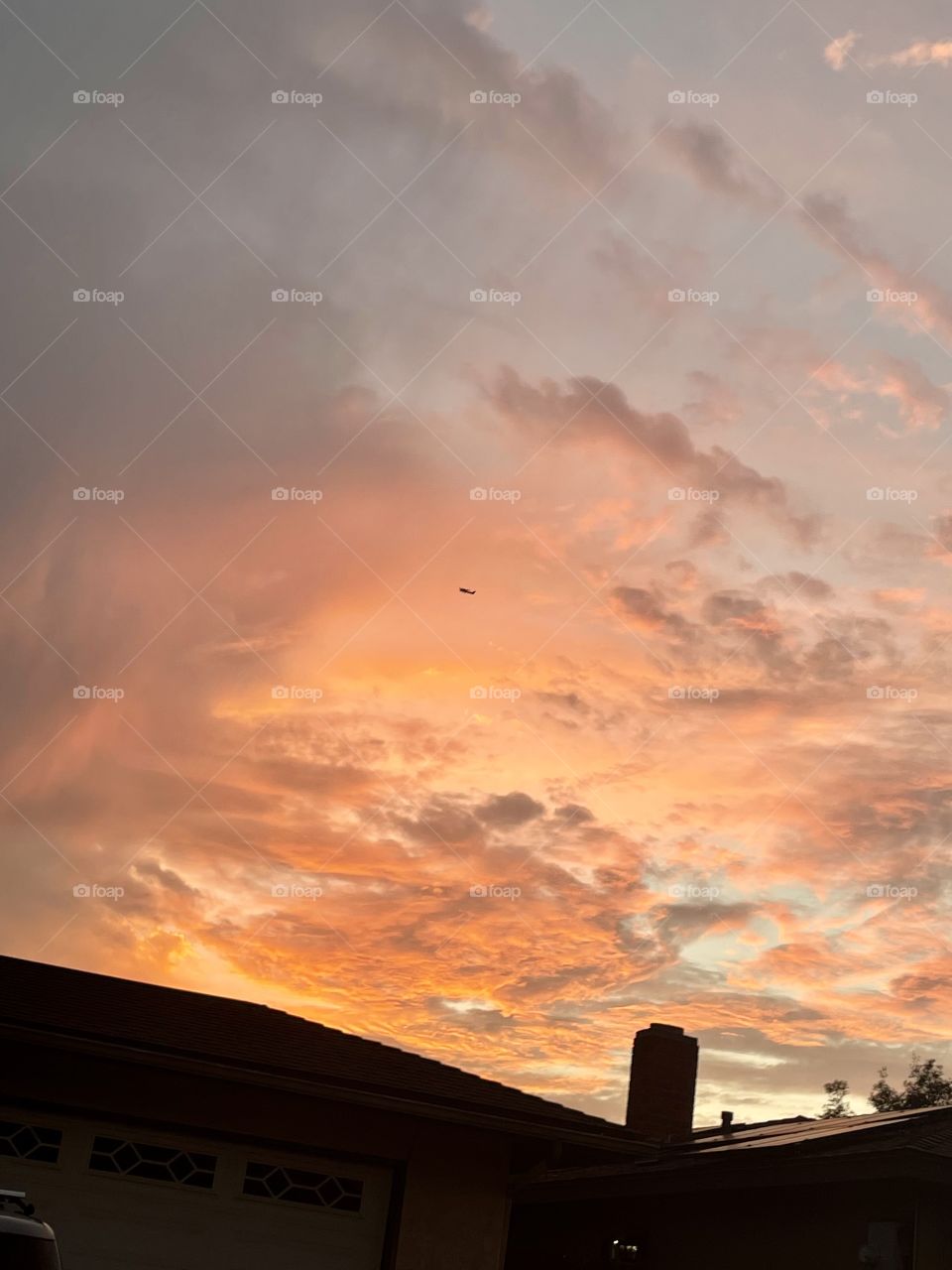 Gorgeous art in the sky 