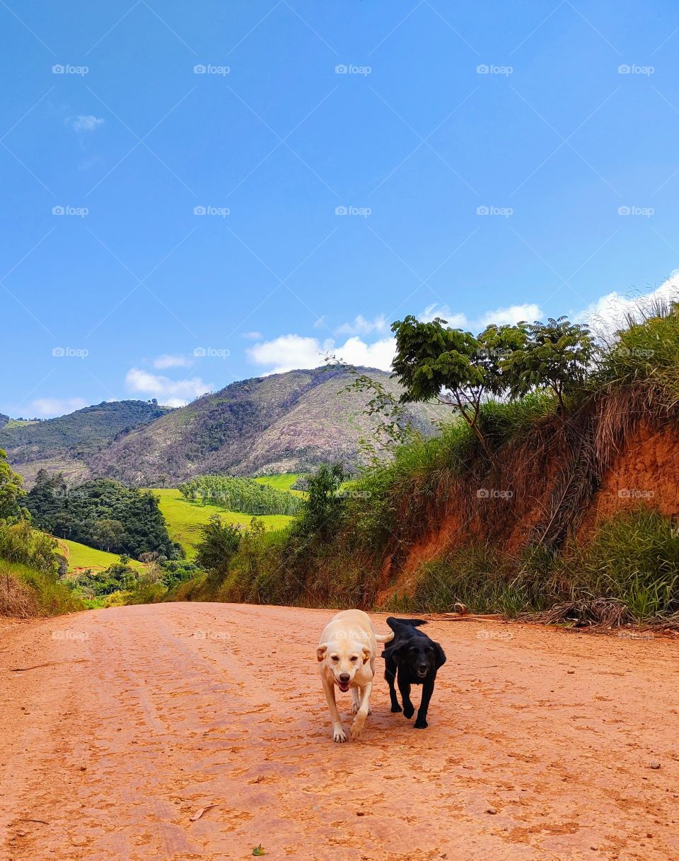 Curtindo o verão