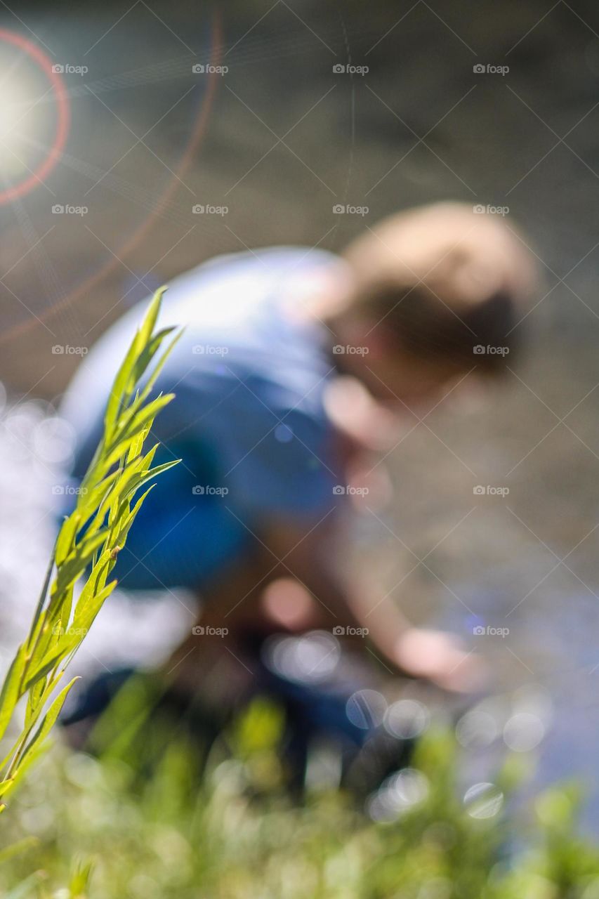 Little boy playing in the river, with a grass blade in focus 
