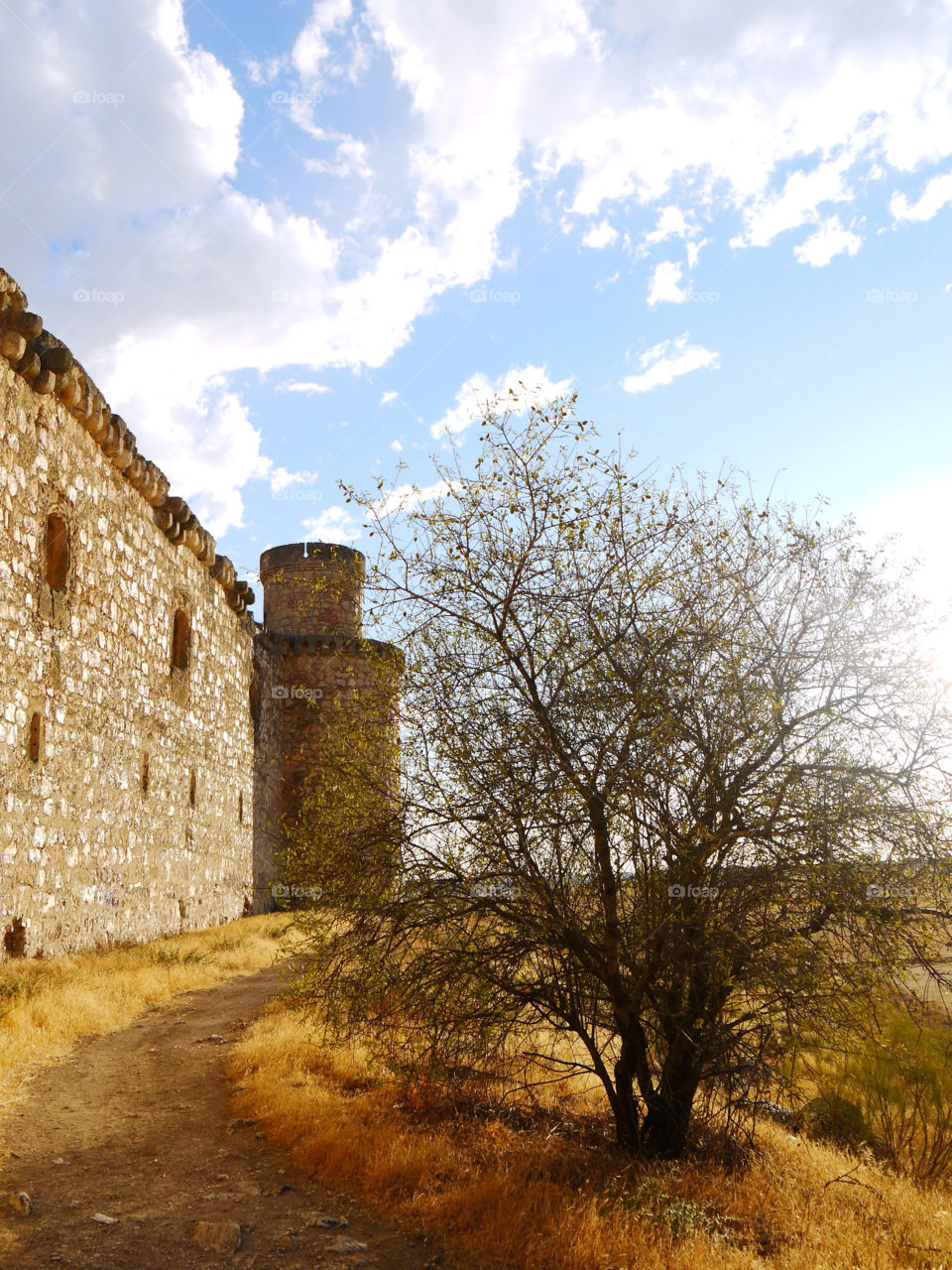 summer tree afternoon tower by alejandrorubiob
