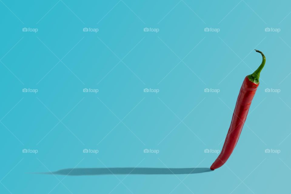 Hot red pepper standing on a blue background