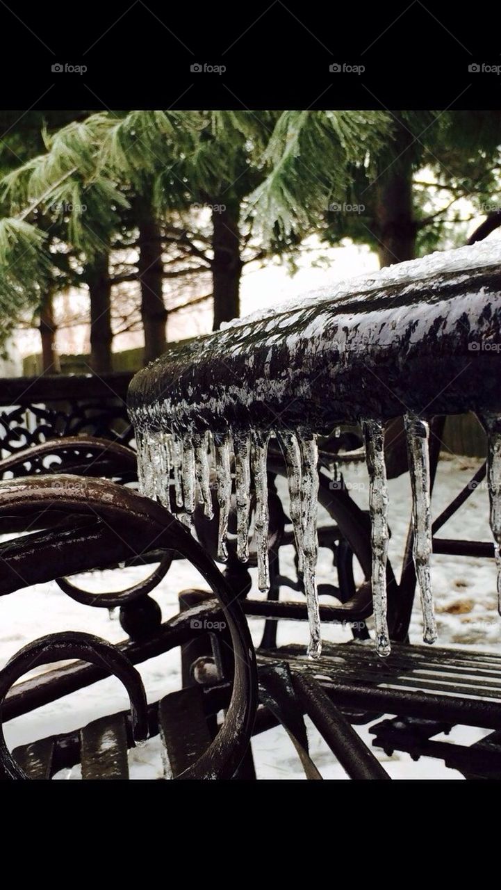 Frozen Backyard