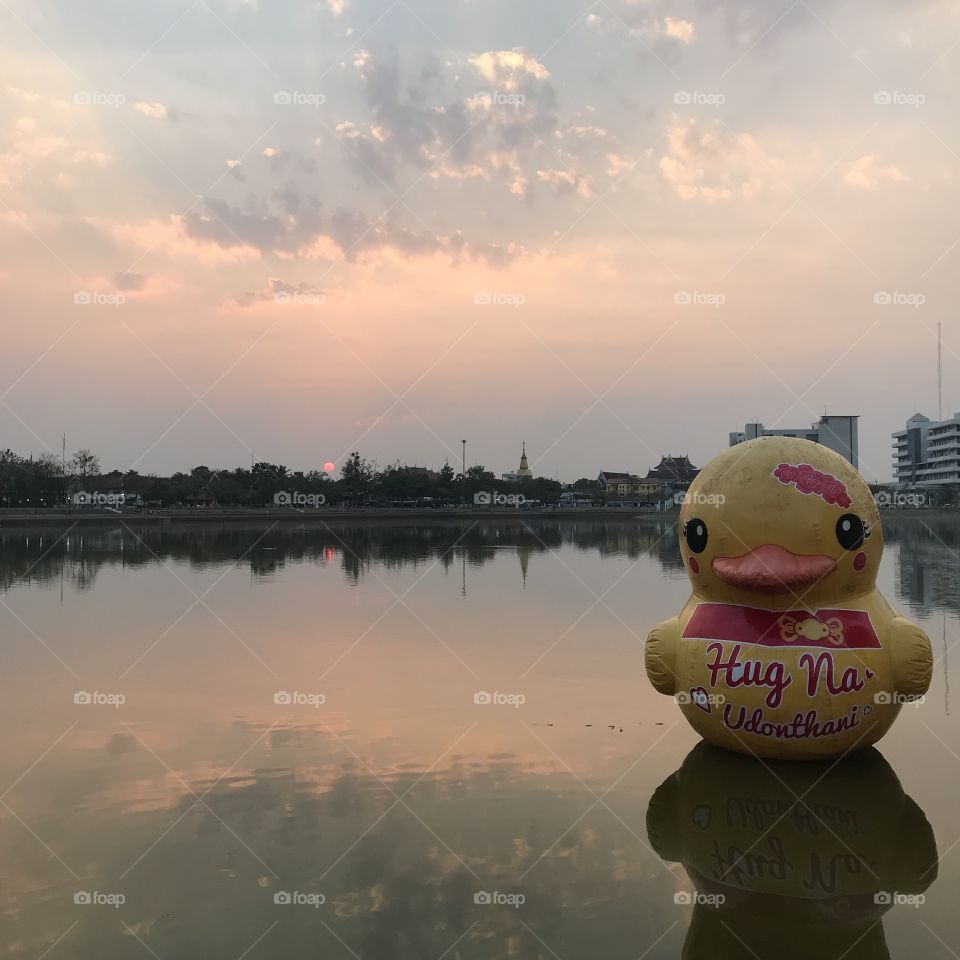Yesterday the duck and the sunset