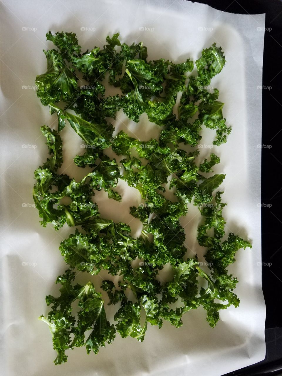 fresh out of the oven baked kale crispy chips.