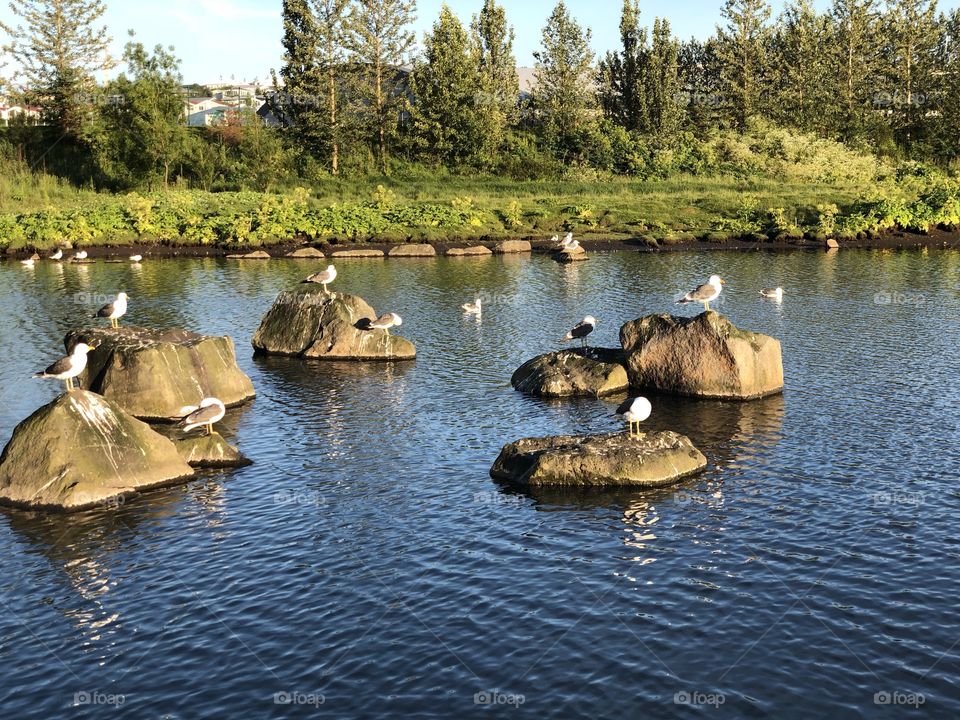 A small gathering at sunset.  Enjoying the sun setting on a beautiful day.