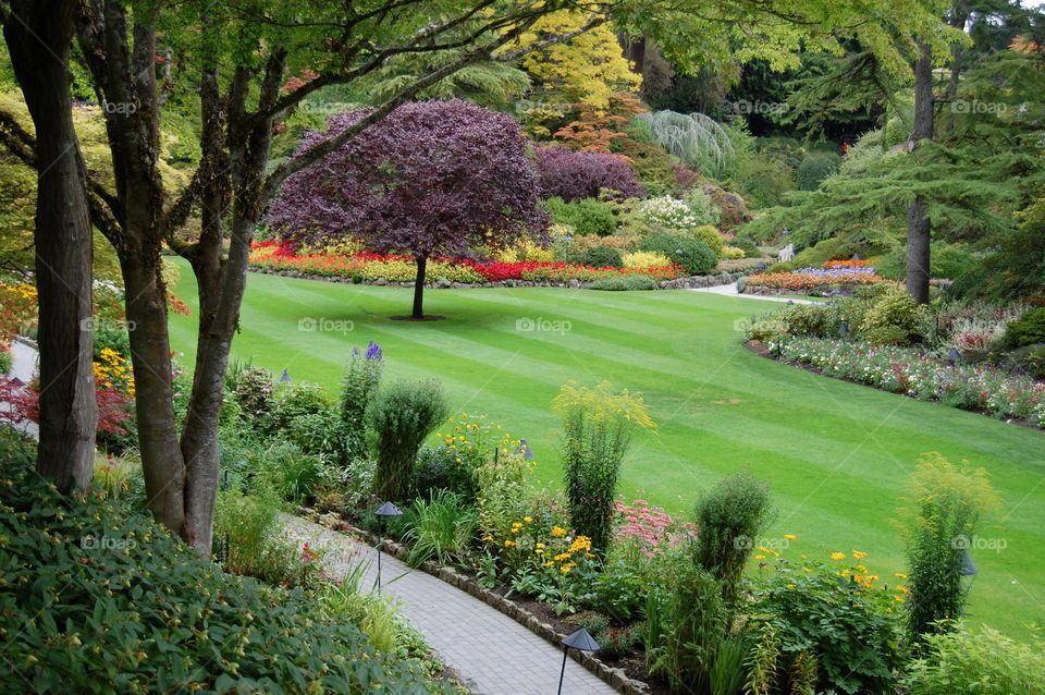 Beautiful garden with striped lawn 