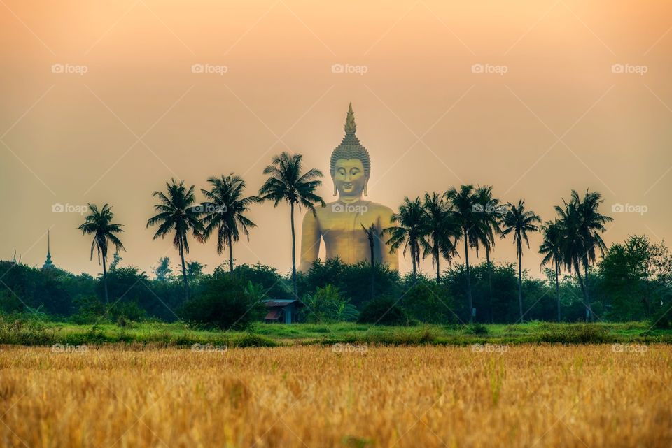 Beautiful buddha in Thailand