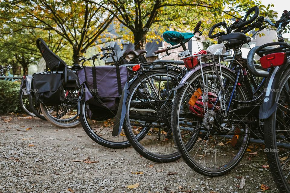 bikes all over Antwerp