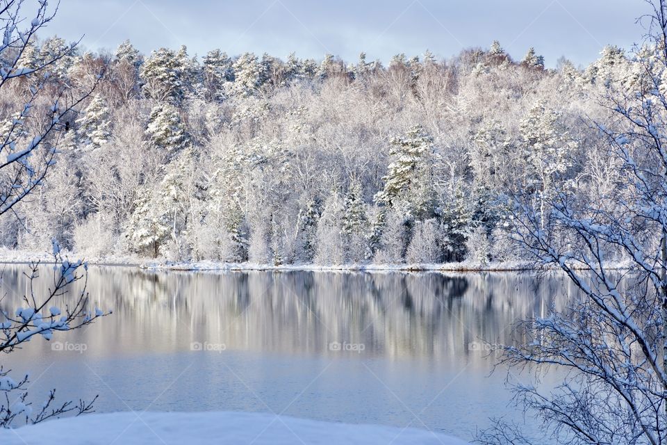 Cold snowy winter day, forest reflection in the lake 