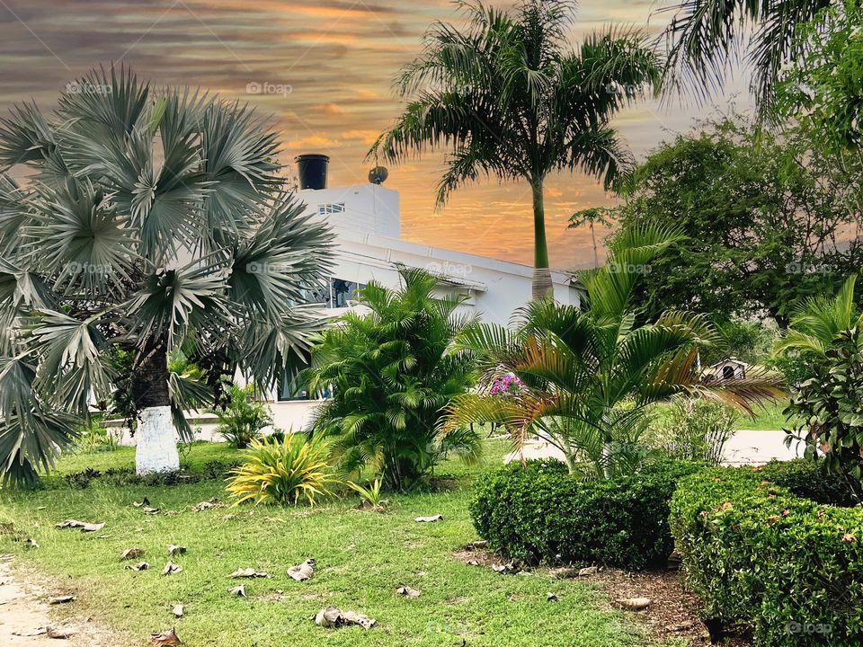 Sunset in a country house