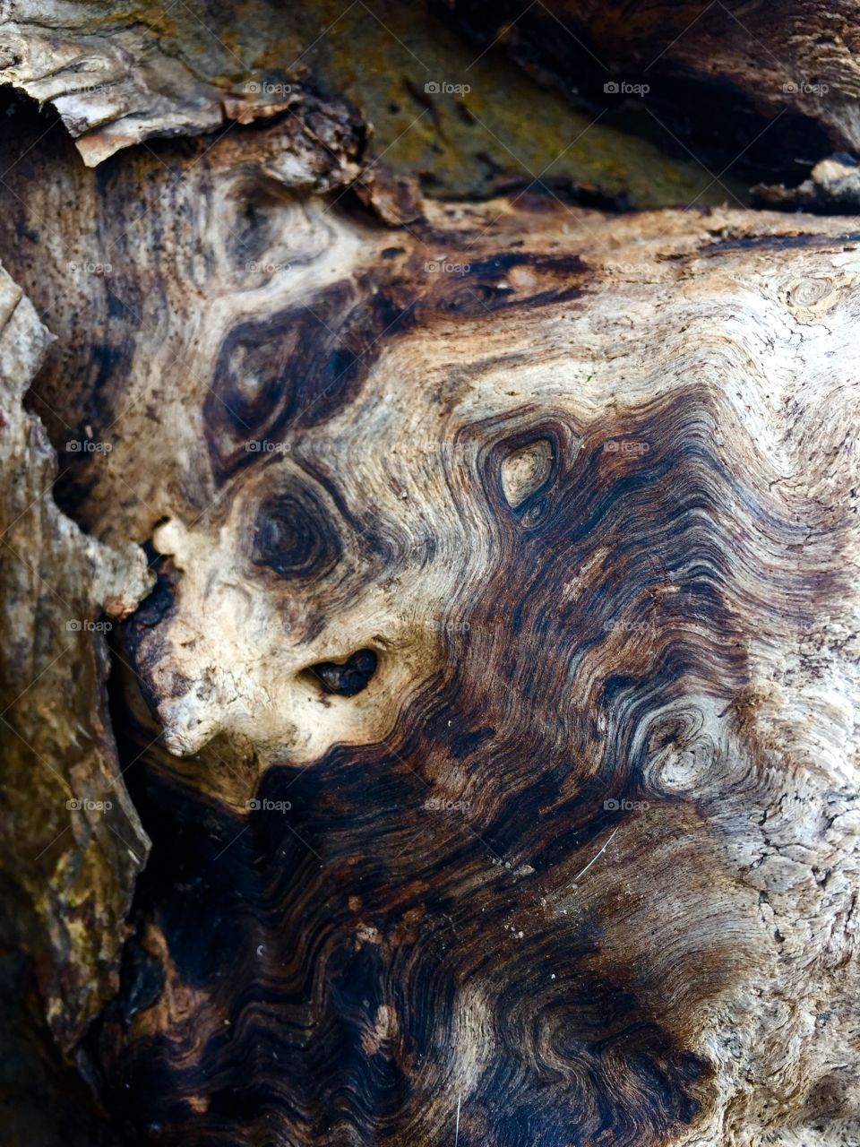 Driftwood grain....
