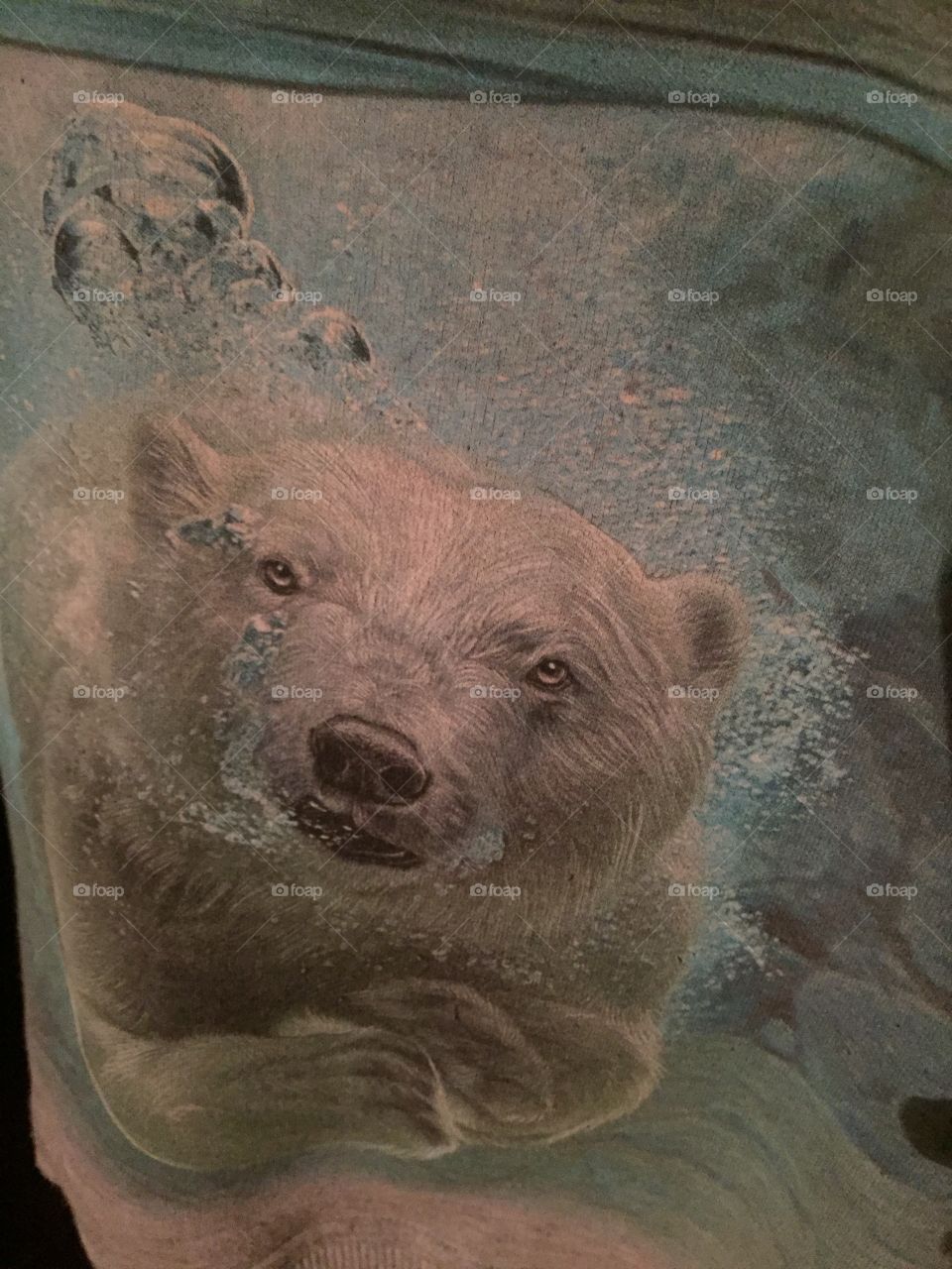 Медведь под водой 